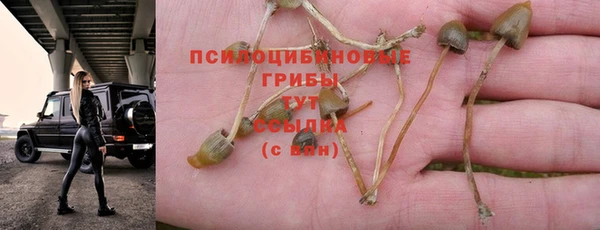 марихуана Абаза